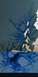 AMPHIROA, 30x60 cm, 2017 - EMPREINTE - NATURE