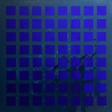 BLUE PIXEL, 80x80 cm, 2017 - EMPREINTE - NATURE